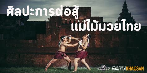 แม่ไม้มวยแมว! Cr. Video Clip Funny .